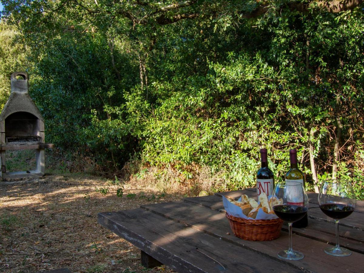 Holiday Home Merlot By Interhome Cedri エクステリア 写真